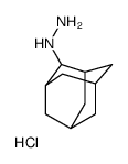 2-adamantylhydrazine,hydrochloride Structure