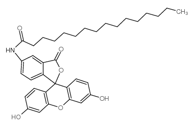 73024-80-3 structure