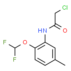 2-CHLORO-N-(2-DIFLUOROMETHOXY-5-METHYL-PHENYL)-ACETAMIDE结构式