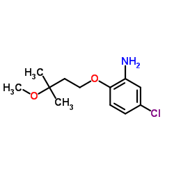 5-Chloro-2-(3-methoxy-3-methylbutoxy)aniline Structure