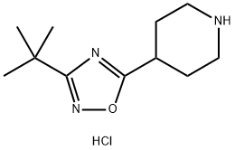 4-(3-tert-Butyl-1,2,4-oxadiazol-5-yl)piperidine hydrochloride Structure