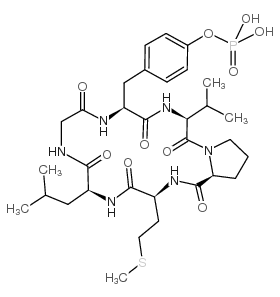 Cyclo(-Gly-Tyr(PO3H2)-Val-Pro-Met-Leu) Structure