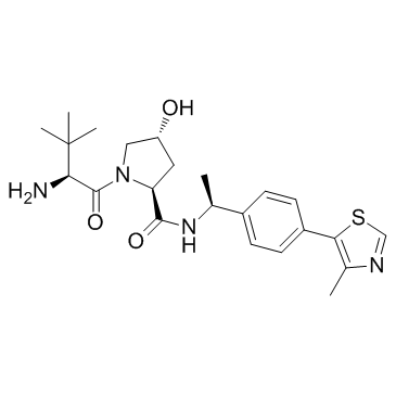 E3 ligase Ligand 1A structure