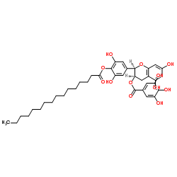 507453-56-7 structure