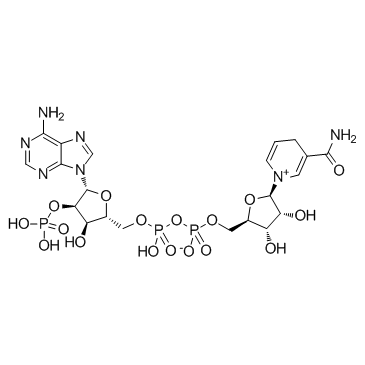 Nicotinamide adenine dinucleotide phosphate Structure