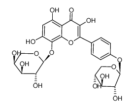 rhodolide Structure