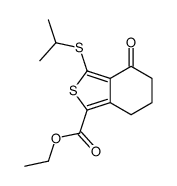 172516-31-3 structure