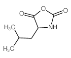 (S)-4-异丁基恶唑烷-2,5-二星空app结构式