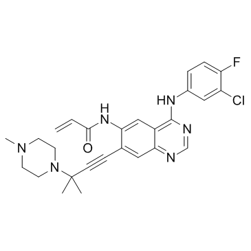 AV 412 structure