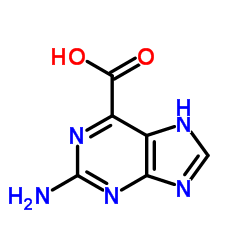 2-氨基-9H-嘌呤-6-羧酸结构式