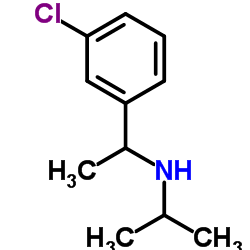 N-[1-(3-Chlorophenyl)ethyl]-2-propanamine结构式