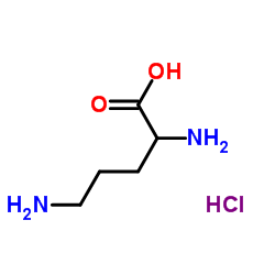 1069-31-4 structure