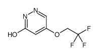 4-(2,2,2-trifluoroethoxy)-1H-pyridazin-6-one Structure