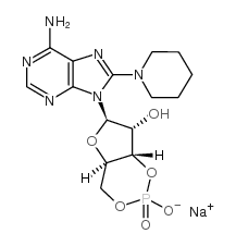 8-PIP-cAMP结构式