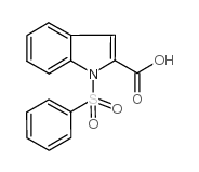 1-(benzenesulfonyl)indole-2-carboxylic acid Structure