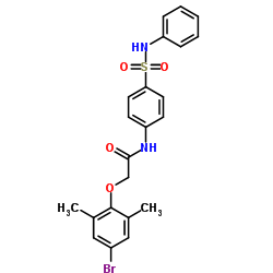 650588-41-3 structure