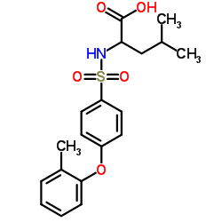 N-{[4-(2-Methylphenoxy)phenyl]sulfonyl}leucine picture