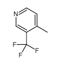 4-methyl-3-(trifluoromethyl)pyridine图片