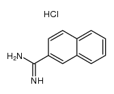 2-naphthalenecarboxamidine hydrochloride picture