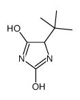 5-tert-butylimidazolidine-2,4-dione Structure