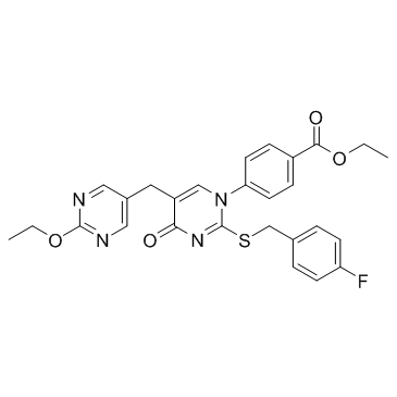 GW-1100 Structure