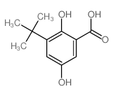 Benzoicacid, 3-(1,1-dimethylethyl)-2,5-dihydroxy- structure