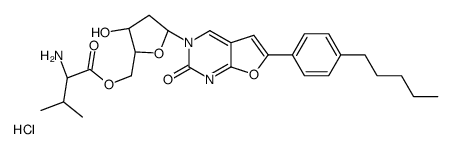 FV-100 Structure