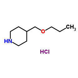 1051919-40-4 structure