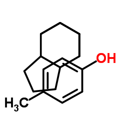 Poly(dicyclopentadiene-co-p-cresol) structure