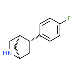 2-Azabicyclo[2.2.1]heptane,5-(4-fluorophenyl)-,(1R,4R,5R)-rel-(9CI) Structure