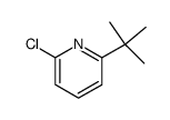 2-氯-6-叔丁基吡啶结构式