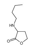 3-(butylamino)oxolan-2-one结构式