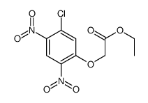 ethyl 2-(5-chloro-2,4-dinitrophenoxy)acetate结构式