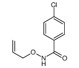 4-chloro-N-prop-2-enoxybenzamide Structure
