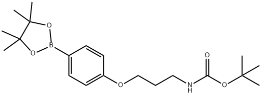 {3-[4-(4,4,5,5-Tetramethyl-[1,3,2]dioxaborolan-2-yl)-phenoxy]-propyl}-carbamic acid tert-butyl ester structure