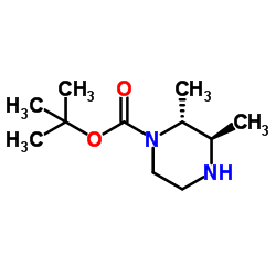 (2R,3R)-2,3-Dimethyl-1-piperazinecarboxylic Acid 1,1-Dimethylethyl Ester picture