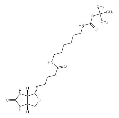 tert-butyl (6-(5-((3aS,4S,6aR)-2-oxohexahydro-1H-thieno[3,4-d]imidazol-4-yl)pentanamido)hexyl)carbamate picture