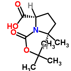 (2S,5R)-N-Boc-5-甲基吡咯烷-2-甲酸图片