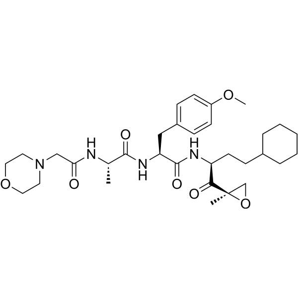 Proteasome β2c/i-IN-1结构式