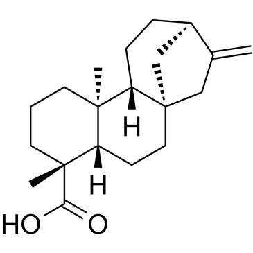 异贝壳杉烯酸, 贝壳杉烯酸结构式