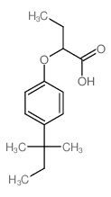 2-[4-(2-methylbutan-2-yl)phenoxy]butanoic acid结构式