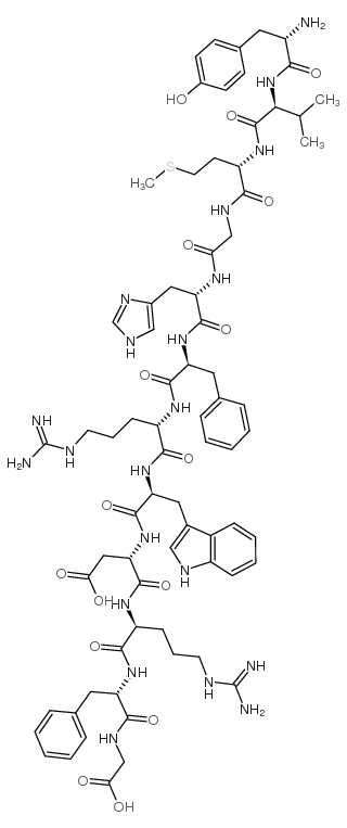 gamma-促黑细胞激素图片