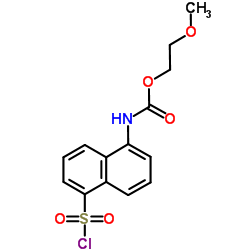 (5-CHLOROSULFONYL-NAPHTHALEN-1-YL)-CARBAMIC ACID 2-METHOXY-ETHYL ESTER Structure