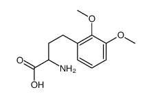 2-amino-4-(2,3-dimethoxyphenyl)butanoic acid Structure