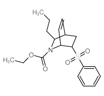 ethyl 6-(benzenesulfonyl)-8-propyl-7-azabicyclo[2.2.2]oct-2-ene-7-carboxylate structure