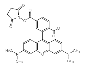 6-carboxytetramethylrhodamine n-hydroxysuccinimide ester picture