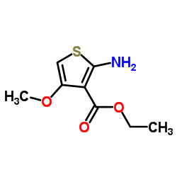 3-Thiophenecarboxylicacid,2-amino-4-methoxy-,ethylester(9CI) picture