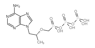 206646-04-0 structure