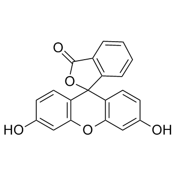 Fluorescein Structure