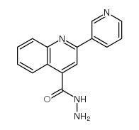 2-PYRIDIN-3-YL-QUINOLINE-4-CARBOXYLIC ACID HYDRAZIDE structure